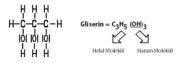 Helal Molekl, Haram Molekl